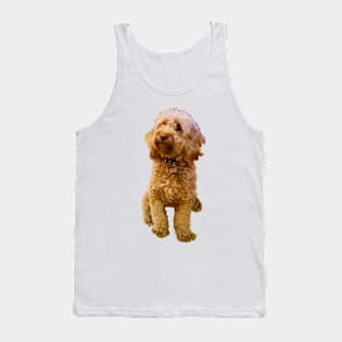 Cavapoo Dogs are cute and funny Cavoodle puppy -  cavalier king charles spaniel dog Tank Top